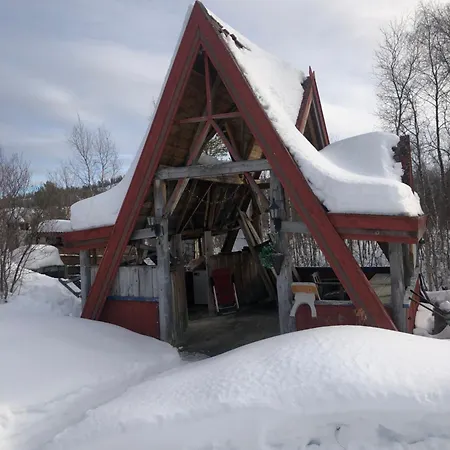 Pasvik Taiga