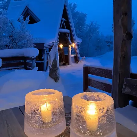 Pasvik Taiga Maison d'hôtes