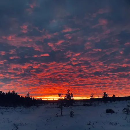 Gasthof Pasvik Taiga
