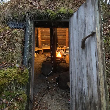 Pasvik Taiga *