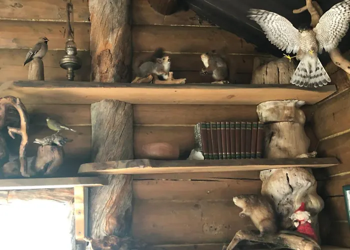 Pasvik Taiga * Skogfoss